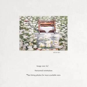 May include: An antique wooden clothes washing machine with a metal tub, sitting in a field of white flowers. The machine has the words "PANDORA BRAND" printed on it.