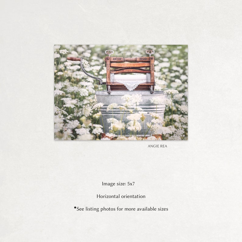 May include: An antique wooden clothes washing machine with a metal tub, sitting in a field of white flowers. The machine has the words "PANDORA BRAND" printed on it.