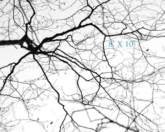 Tree Print Large Wall Art Tree Branches Tranquil Home And Etsy