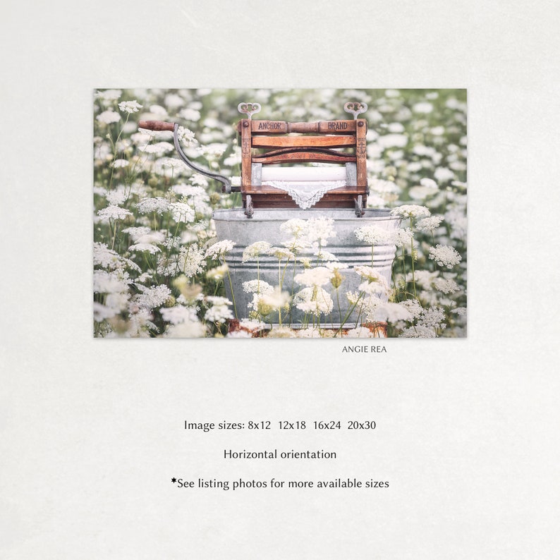May include: An antique wooden wringer washing machine with a white cloth inside, sitting in a galvanized tub surrounded by white Queen Anne's Lace flowers. The machine has the words "Anchor Brand" printed on it.
