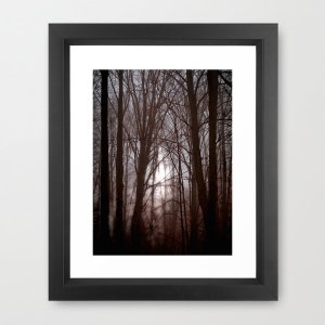 May include: A photograph of a forest scene with tall trees and a bright light shining through the branches. The trees are silhouetted against the light, creating a dramatic effect. The light is soft and warm, and the overall tone of the image is peaceful and serene.