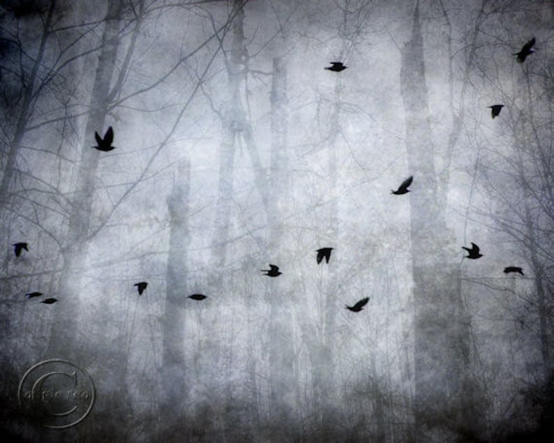 Blackbird Print, Surreal Flying Blackbirds, Mysterious Flock of