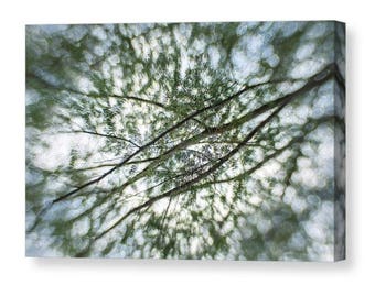 Dreamy Tree Gallery Wrapped Canvas, Unique Tree Wall Art, Hemlock Tree, Nature Photography, Nature Lover Gift, Tree Picture