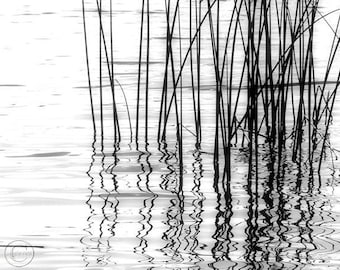 Reeds Black and White Photography Print. Tranquil Decor, Calming Waters, Lake Wall Art, Reflections in the Water, Cabin Decor