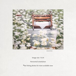 May include: An antique wooden clothes washing machine with a white cloth inside, sitting in a galvanized metal tub surrounded by white flowers. The machine has the words "Anchor Brand" printed on it.
