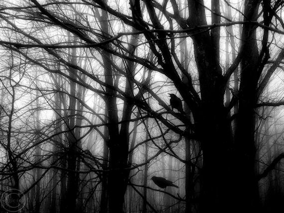 Crow Print 9 X 12 Two Crows Dark Mysterious Etsy