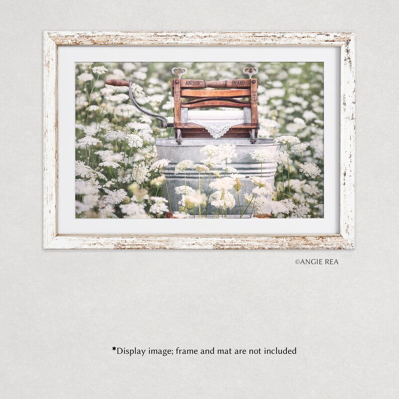 May include: A vintage wooden washing machine with a white cloth inside sits in a galvanized metal tub surrounded by white Queen Anne's Lace flowers.