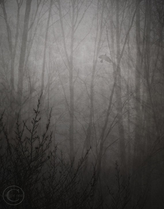 Dark Wall Art, Crow, Home Decor, Black and White Wall Art
