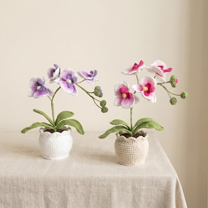May include: Two crocheted orchid plants in textured pots. The left orchid features purple and white petals, while the right orchid has pink and white petals. Both plants have green leaves and stems with small, round, green, unopened flower buds.