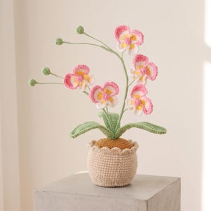 Op de afbeelding: Een gehaakte orchideeplant met vijf roze, witte en gele bloemen met groene stengels en knoppen. De plant heeft getextureerde groene bladeren en staat in een beige gehaakte pot met een geschulpte rand en een bruine, getextureerde bovenkant.