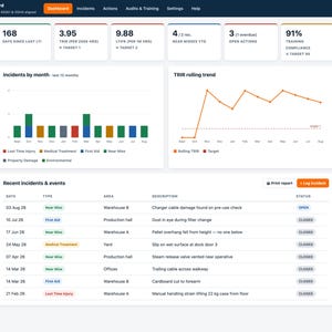 HSE Dashboard | Safety Performance Tracker Offline Web App | Incident Log, Auto TRIR & Injury Rates, Charts, Monthly Report | ISO 45001 image 3