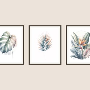 Puede incluir: Tres impresiones enmarcadas en acuarela con ilustraciones botánicas. Las impresiones muestran una hoja de monstera, una fronda de palma y una flor de ave del paraíso con exuberante follaje. La obra de arte utiliza tonos suaves y apagados de verde, azul y melocotón.