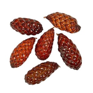 May include: A collection of six brown pine cones arranged in a cluster. Each pine cone features a distinct, layered, and overlapping scale pattern with a smooth, glossy finish. The cones are oval-shaped and vary slightly in size and orientation.
