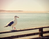 Beach Photography Oregon Coast Seagull Pastel--Fine Art Lomography 8x12 or 8x10