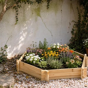 Può includere: Un'aiuola rialzata esagonale in legno riempita di terriccio scuro e una varietà di fiori in fiore, inclusi petali bianchi, gialli e arancioni, insieme a fogliame verde, posizionata su una superficie di ghiaia vicino a un muro bianco.