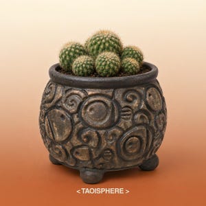 Maceta de cerámica antigua artesanal 1/1: Maceta de cerámica de Sichuan, maceta de alta cocción para cactus y suculentas, decoración de cerámica china, decoración de jardín zen.