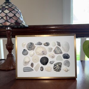 Vintage Küsten Schaukasten mit Muscheln (13x18) – Kunst am Strand