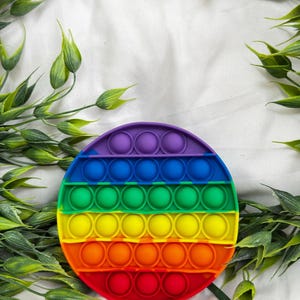 May include: A round, rainbow-colored Pop It fidget toy. The toy features a series of circular bubbles in a spectrum of colors, including red, orange, yellow, green, blue, and purple. The toy is surrounded by green foliage.