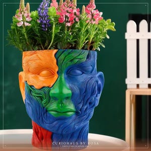 Peut inclure: Un pot de fleurs en forme de tête sculptée, avec des sections orange, verte et bleue. Le pot contient des fleurs roses, violettes et vertes vibrantes. La base du pot est rouge. Le texte "CURIOHAUS BY ROSA" est visible.