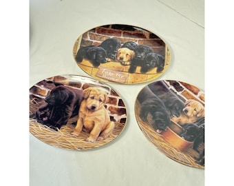 Franklin Mint Dog Plate Set of 3 Three's A Crowd, Take Me Home, Five And Dine