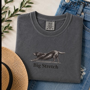 Großes, dehnbares Schokoladen-Labrador-Retriever-T-Shirt in bequemen Farben, lustiges T-Shirt mit dehnbarem Labrador-Motiv, Geschenk für Schokoladen-Labrador-Liebhaber, Vintage-Hunde-Shirt Bild 5