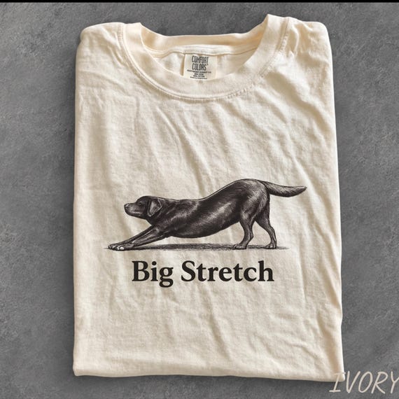 Big Stretch Chocolate Labrador Retriever Comfort Colors Shirt, Funny Stretching Lab Dog T-Shirt, Chocolate Lab Lover Gift, Vintage Dog