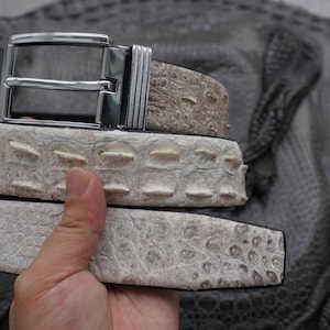 Puede incluir: Un cinturón con un patrón de piel de cocodrilo texturizado en color blanco roto, con escamas prominentes y una hebilla de metal plateado pulido. La correa presenta una textura reptiliana distintiva con acabado mate y forro oscuro.