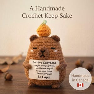 May include: A handmade crochet capybara figurine with a small orange pumpkin on its head. The capybara holds a sign that reads "Positive Capybara" with an inspirational message. The text "Handmade in Canada" is also visible.