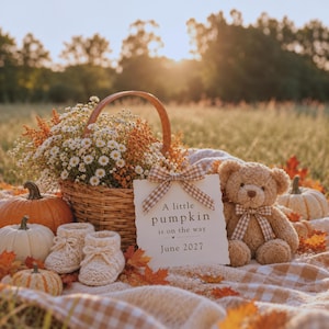 Può includere: Un cesto di vimini riempito con fiori bianchi e arancioni, un paio di scarpine da neonato in maglia color crema, un orsacchiotto marrone con un fiocco a quadretti e un cartello bianco con scritto A little pumpkin is on the way June 2027, tra zucche.