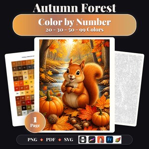 May include: An Autumn Forest color by number digital activity featuring a squirrel holding an acorn, pumpkins, and fall leaves. The set includes a color-coded guide, a line-art template, and a finished illustration. Formats include PNG, PDF, and SVG.