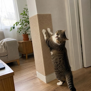 May include: A beige sisal scratching pad attached to a vertical wall corner. A brown and white tabby cat stands on its hind legs, digging its claws into the textured surface of the rectangular scratching post while looking towards the camera.