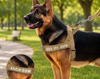 Personalized Dog Harness with Name, Custom Tactical Vest, Reflective Collar Alternative, Dog Lover Gift