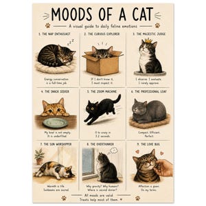 Könnte beinhalten: Ein beiges Poster mit dem Titel MOODS OF A CAT, das neun illustrierte Felder mit Katzen in verschiedenen Zuständen zeigt. Jedes Feld enthält eine nummerierte Beschriftung, eine Katzenzeichnung und eine kurze Bildunterschrift zu Katzenverhalten.