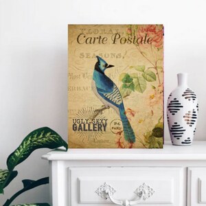 16x20 Gallery Wrapped Canvas|Blue Jay|Carte Postale Antique French Post Card