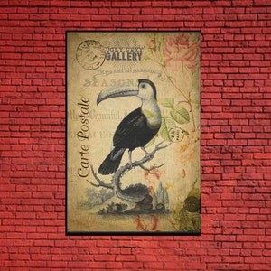 16x20 Gallery Wrapped Canvas - Toucan Carte Postale Antique French Post Card