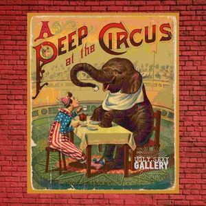 16x20 Gallery Wrapped Canvas|Vintage Circus Illustration