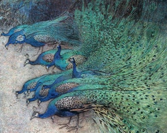 12x16  Canvas|Antique Book Illustration|Book of Fairy Tales| Early 1900s|Peacocks