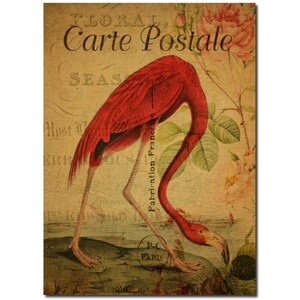 Flamingo - 16x20 Gallery Wrapped Canvas - Antique French Post Card