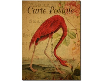 Flamingo - 16x20 Gallery Wrapped Canvas - Antique French Post Card