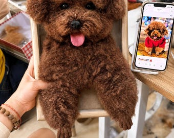 Marco 3D personalizado de fieltro para retratos de mascotas, recuerdo personalizado para la pérdida de perros y gatos, regalo de condolencias, recuerdo del Puente Arcoíris