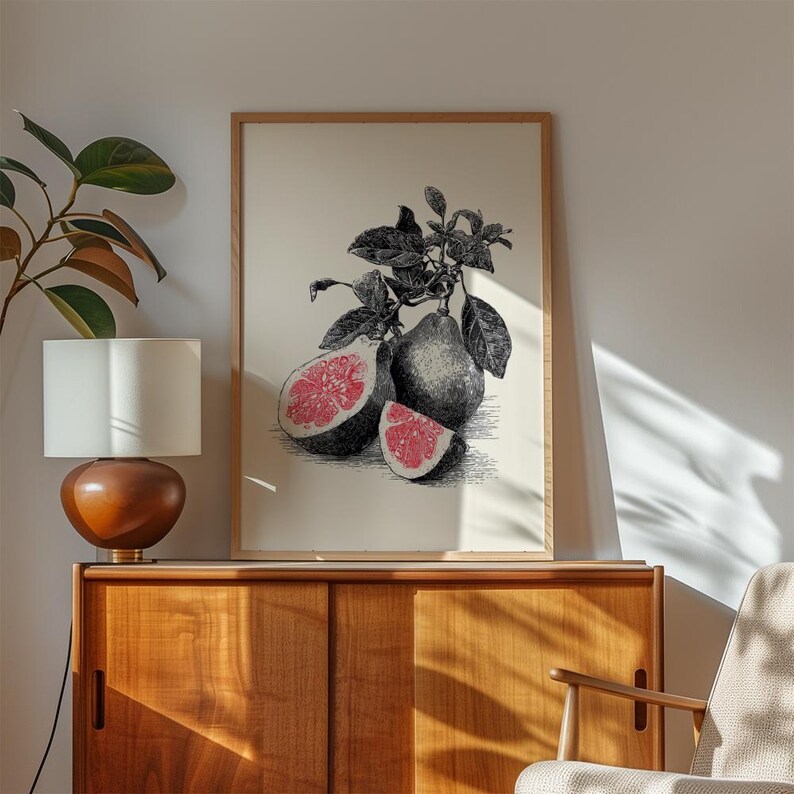 Vintage Grapefruit Wall Art Print | Retro Botanical Illustration ...