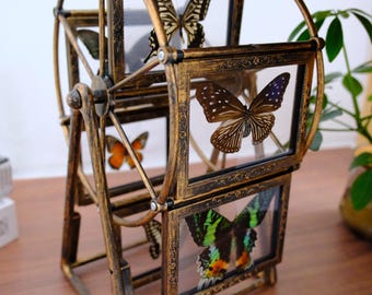 Butterfly Ferris Wheel Display,Custom Rotating Butterfly Specimen Frame,Insect Oddities Art Decor,Home Wall Display Piece,For Nature Lovers