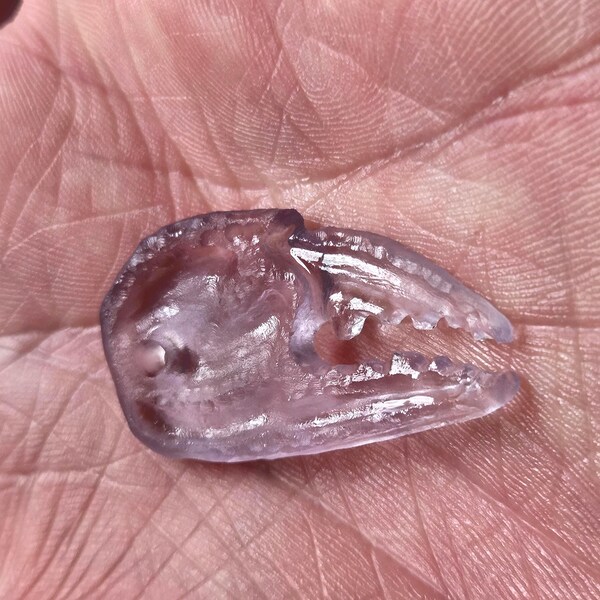 Rare Pink Crab Claw Pendant | Genuine Cornish Beach Glass | Handmade