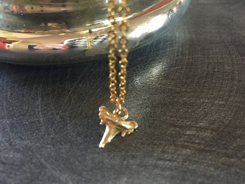 Tiny Gold Shark Tooth Pendant Necklace - 14k Gold Shark Tooth Pendant Tiny Gold Shark Tooth Pendant Necklace - 14k Gold Shark Tooth Pendant