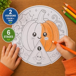 カボチャのライフサイクルスピナー（印刷可能）｜子供向け科学工作｜モンテッソーリ式学習｜PDF