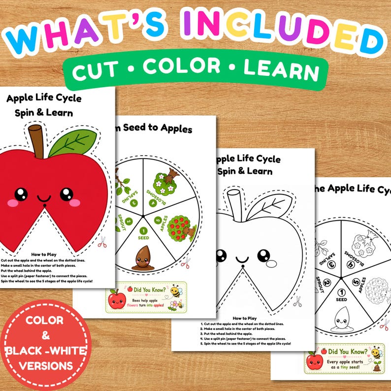 Apple Life Cycle Spinner Wheel Printable | Science Craft for Kids ...