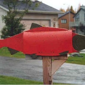 May include: A metal mailbox shaped like a fish, featuring a bright red body with dark gray fins, tail, and head. The fish-shaped mailbox is mounted on a wooden post, with the head pointing to the right and the tail pointing to the left.
