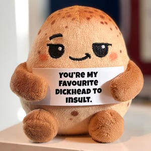 May include: A tan, round, plush potato toy with brown speckles, embroidered eyes, and a small smile. It holds a white rectangular sign with black text that reads: YOU'RE MY FAVOURITE DICKHEAD TO INSULT. The plush has two small arms and two feet.