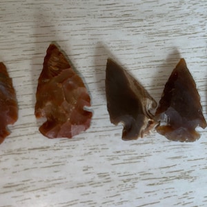 May include: Five stone arrowheads in varying shades of brown and black are arranged in a row. The arrowheads have triangular shapes with notched bases, showcasing the craftsmanship of ancient tools. The textures and colors vary, suggesting different types of stone.