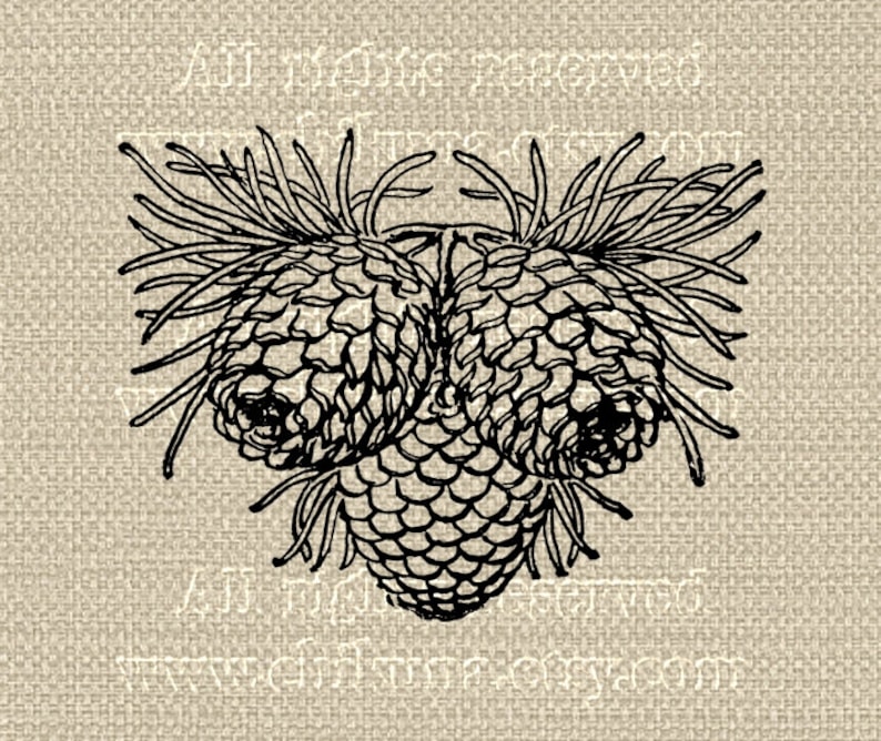 PINE CONE Large Single Image Printable to print on Fabric | Etsy